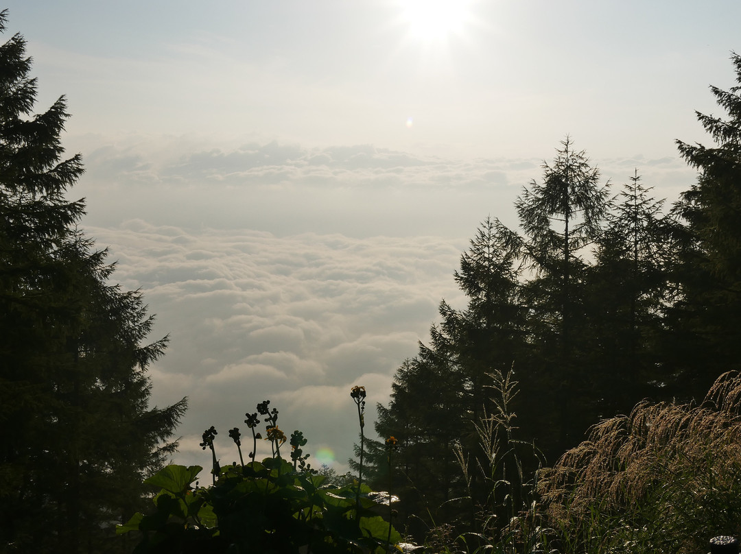 Mt. Amari景点图片