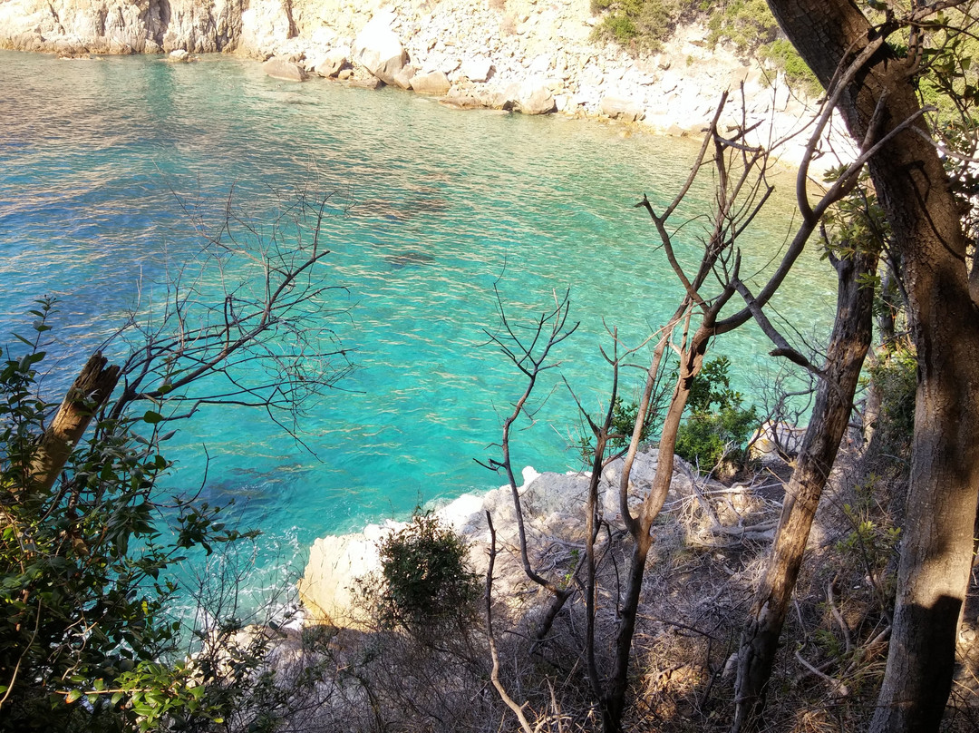 Spiaggia di Ripa Barata景点图片