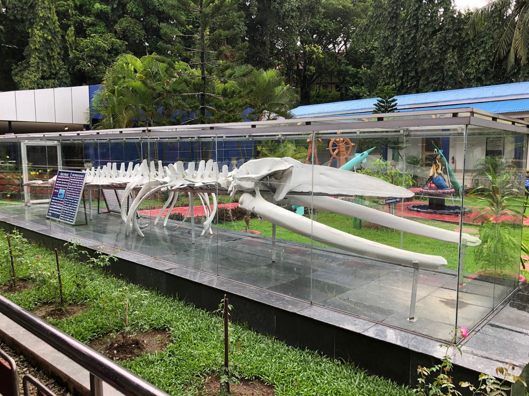 Marina Park and Aquarium-布莱尔港必去景点