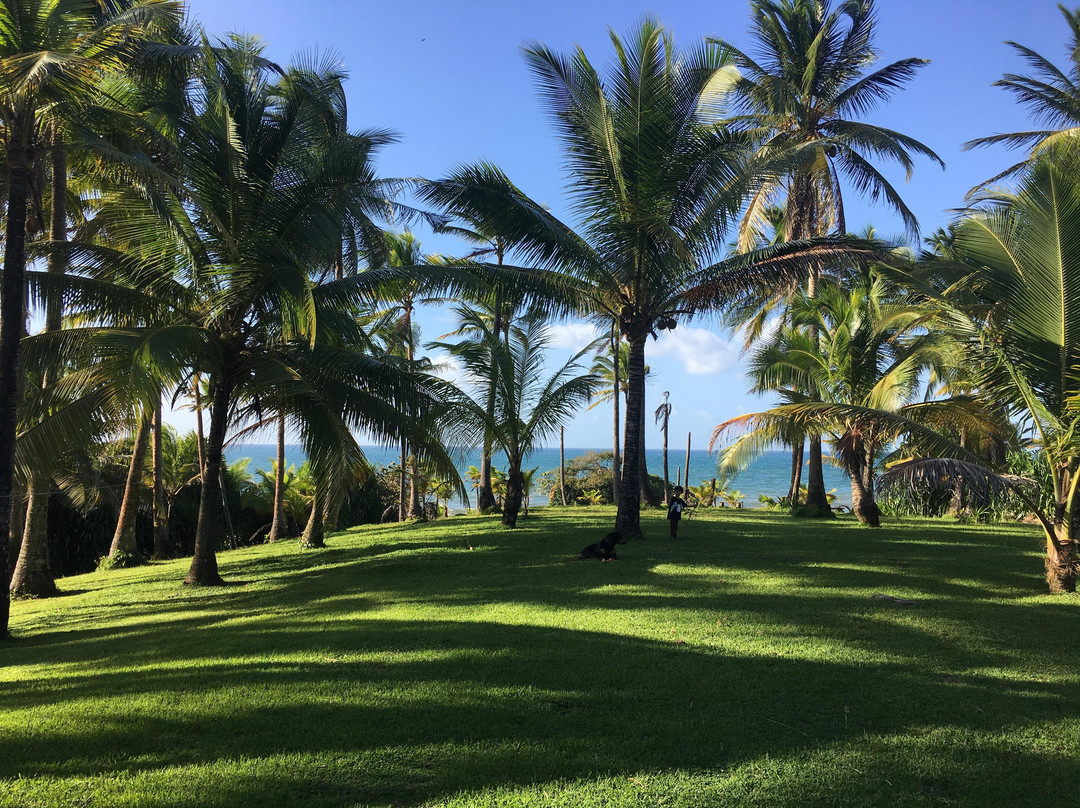 Tropical Organic Farm景点图片