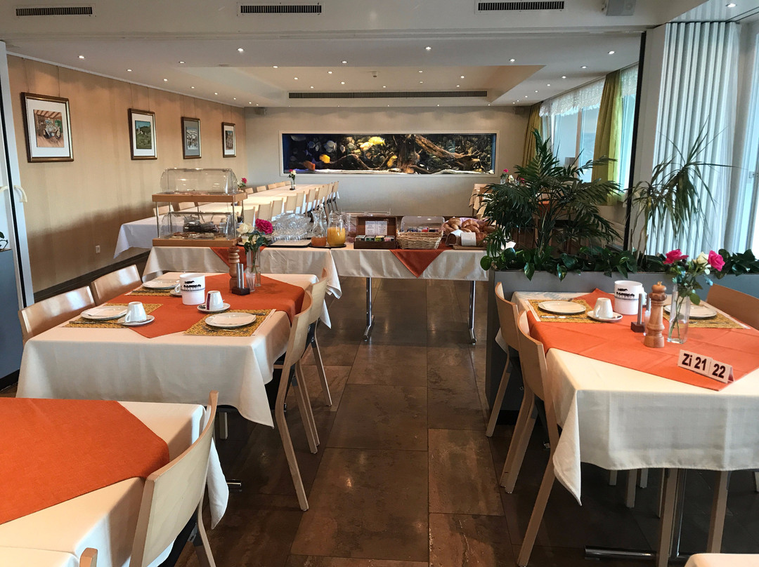 Freudenberg Hotel主图