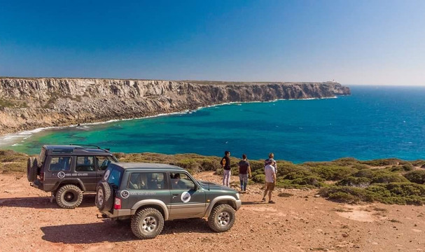 SouthWest Nature Tours