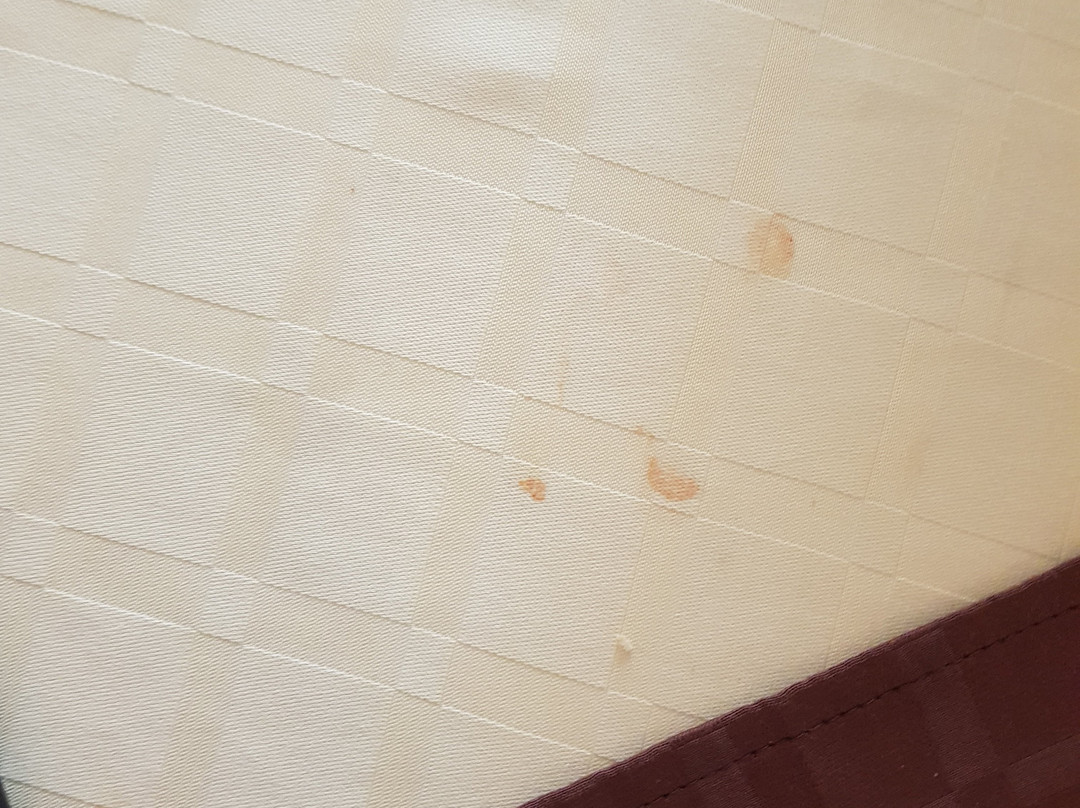 Trakia Garden Hotel主图