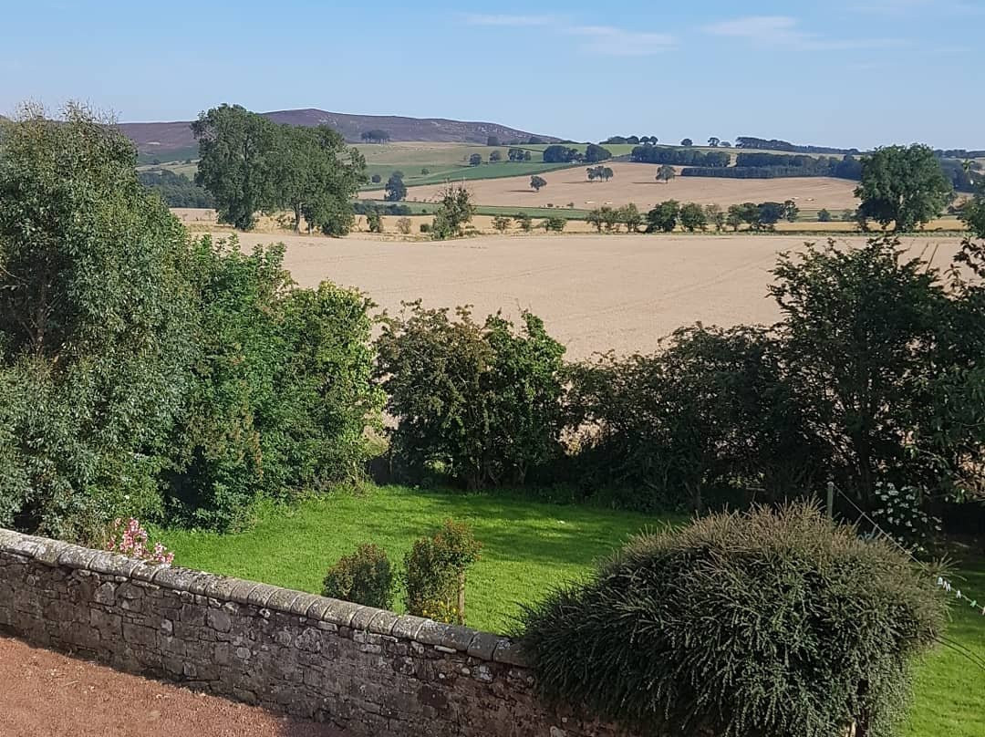 Lorbottle West Steads主图