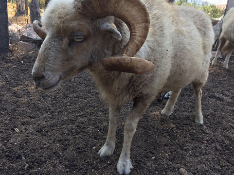 La Ferme De Padula-维琪奥港必去景点