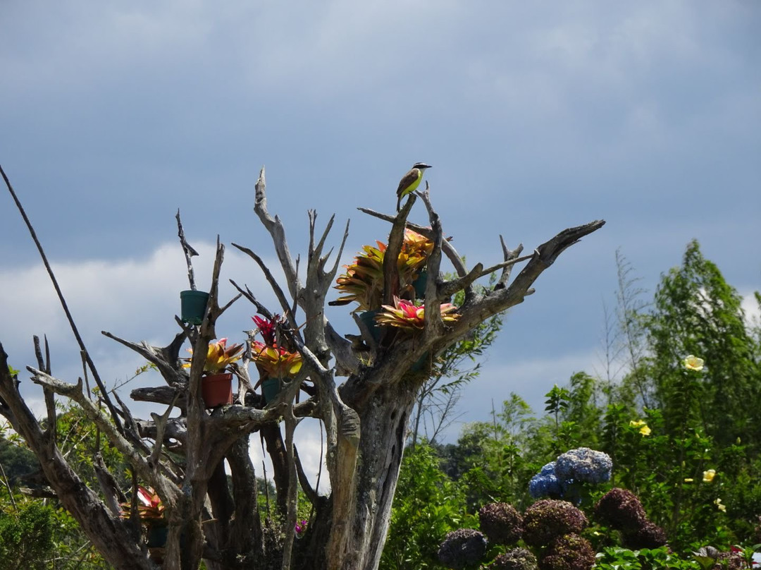 Hotel Estorake San Agustin Huila主图