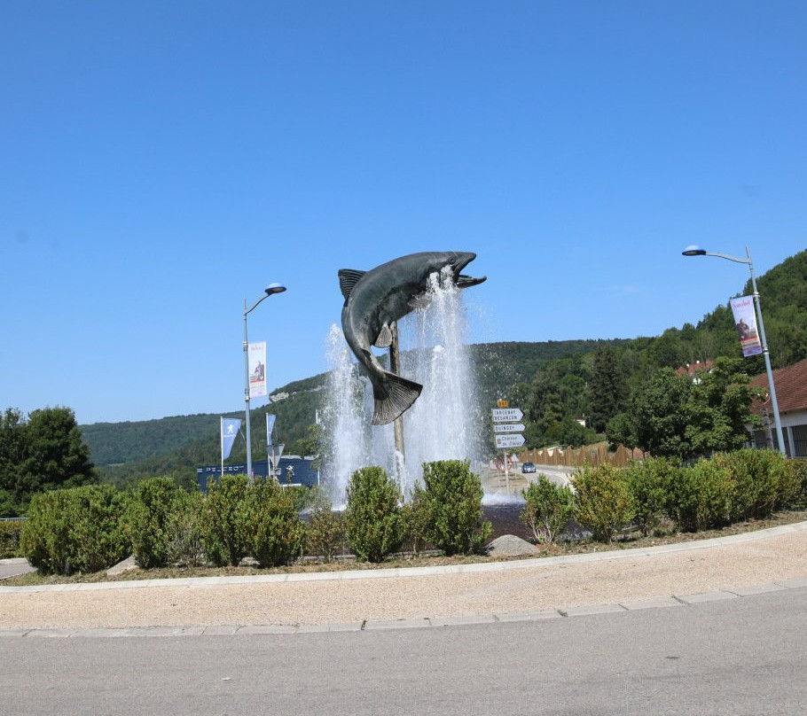 Fontaine de la truite à Ornans景点图片