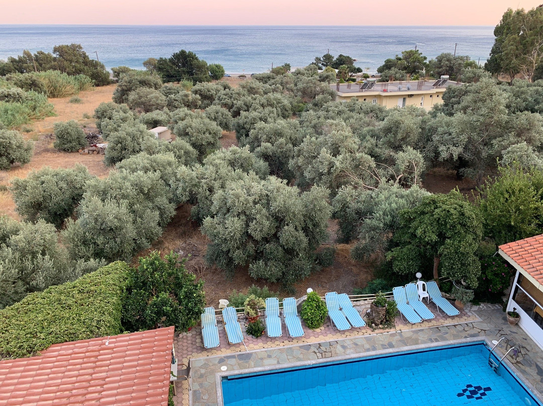 Sunrise Hotel & Apartments主图