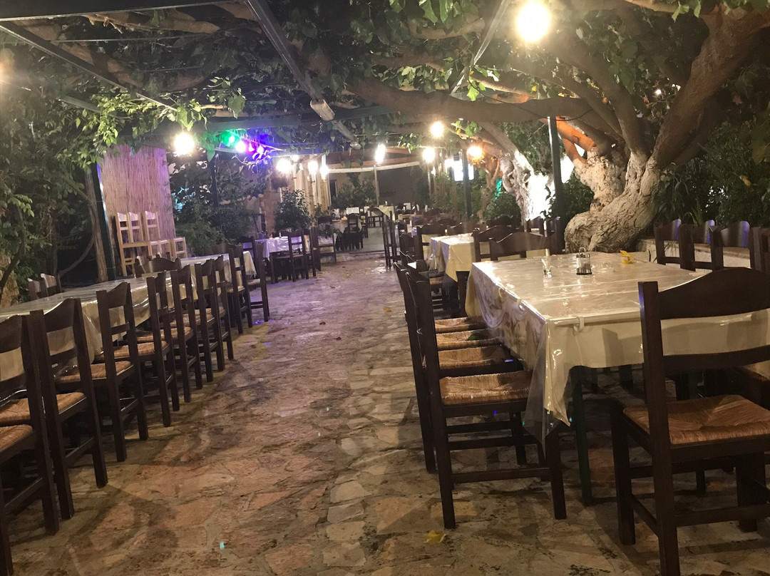 Taverna Avli