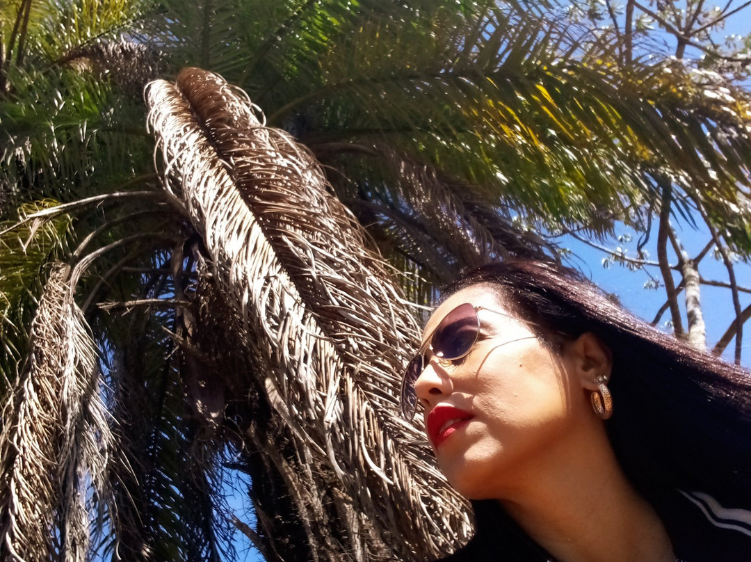 Hotel Fazenda da Lagoa主图