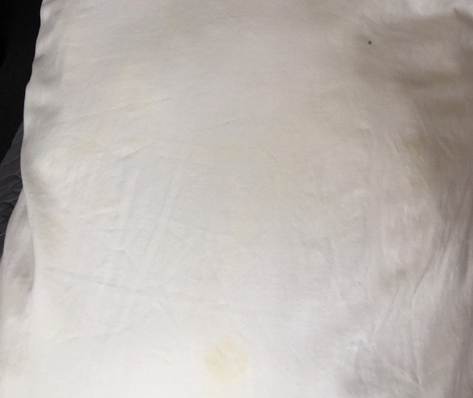 Travelodge Stony Plain主图