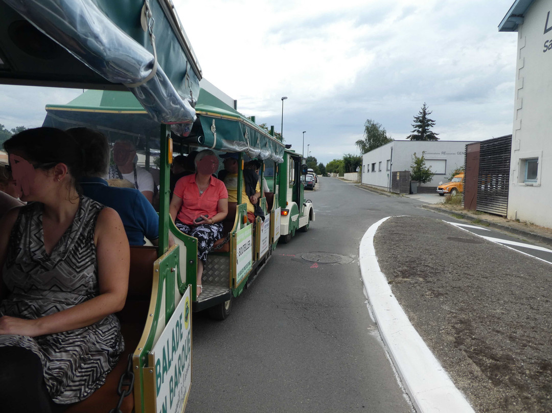 Le Petit Train du Marais Poitevin-Coulon必去景点