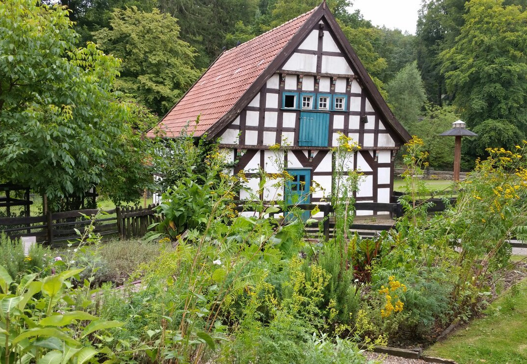 Heimat-Tierpark Olderdissen景点图片