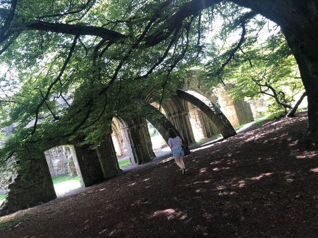 Margam Park景点图片