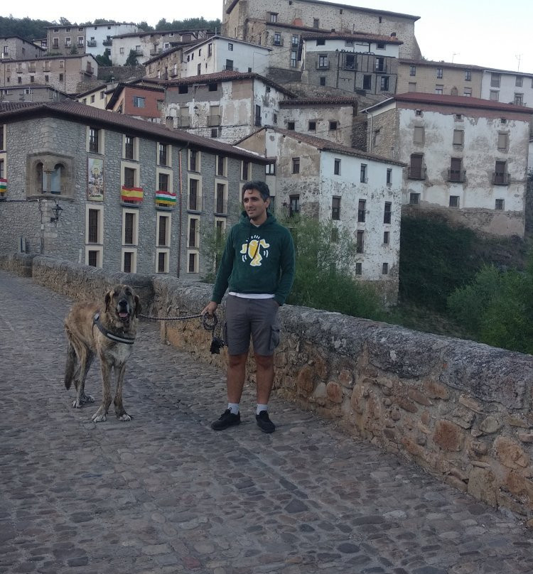 Puente Medieval de Villoslada景点图片