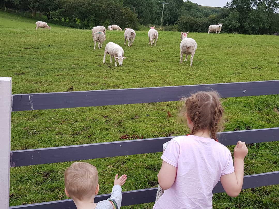 Glan Llyn Farm House主图