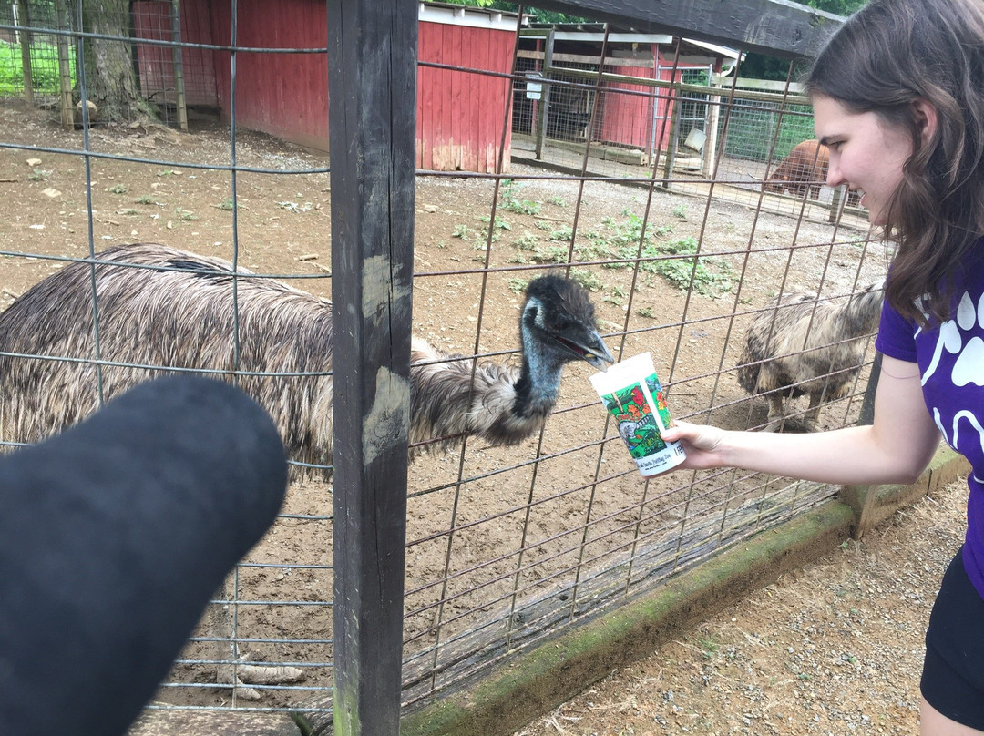 Smoky Mountain Deer Farm & Exotic Petting Zoo景点图片