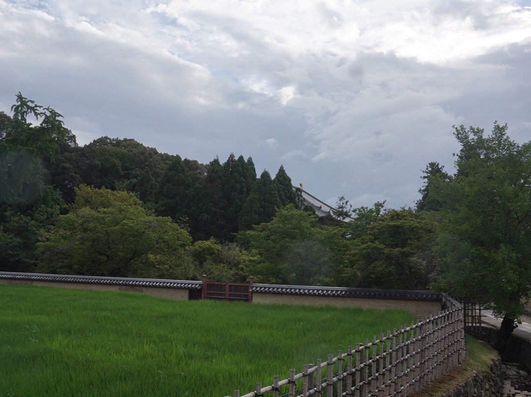 Todaiji Keidaicho景点图片