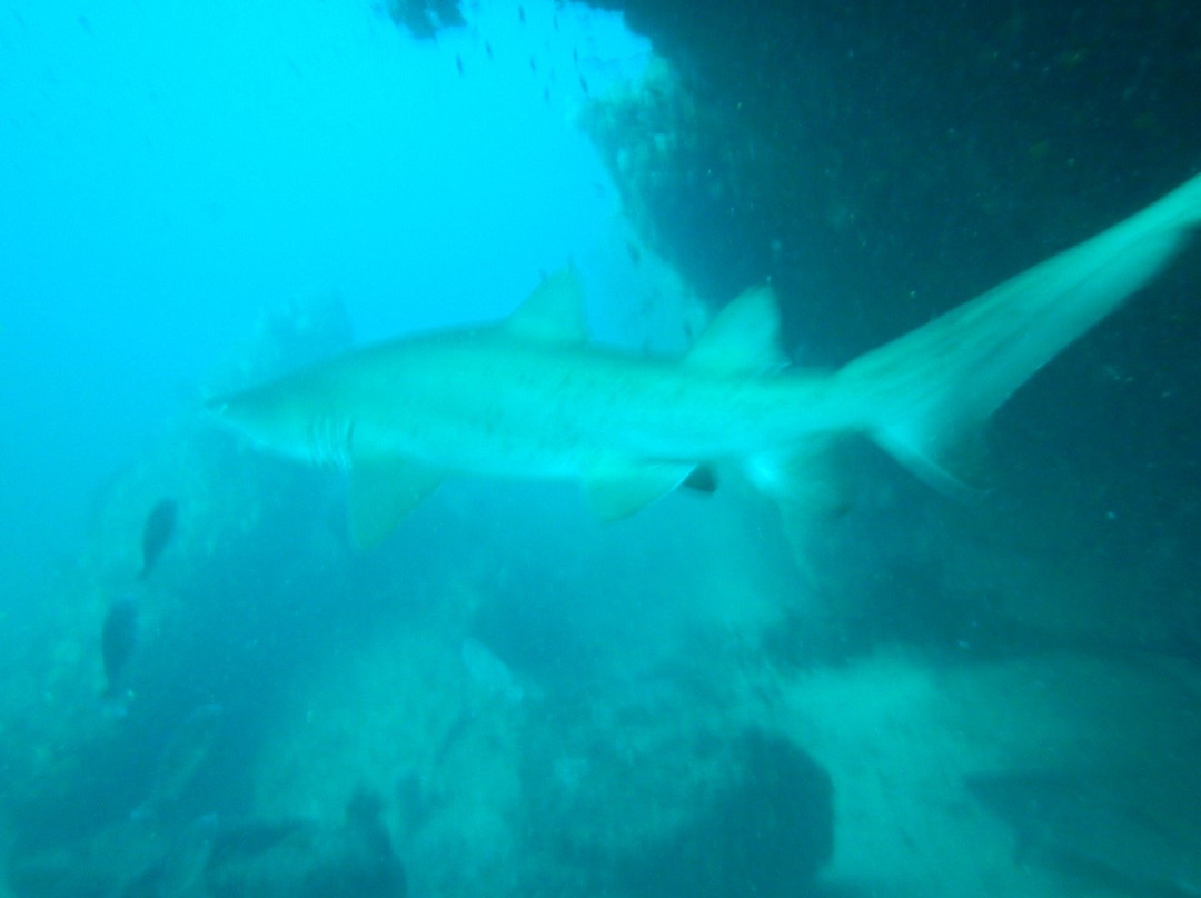 Crystal Divers-Scottburgh必去景点