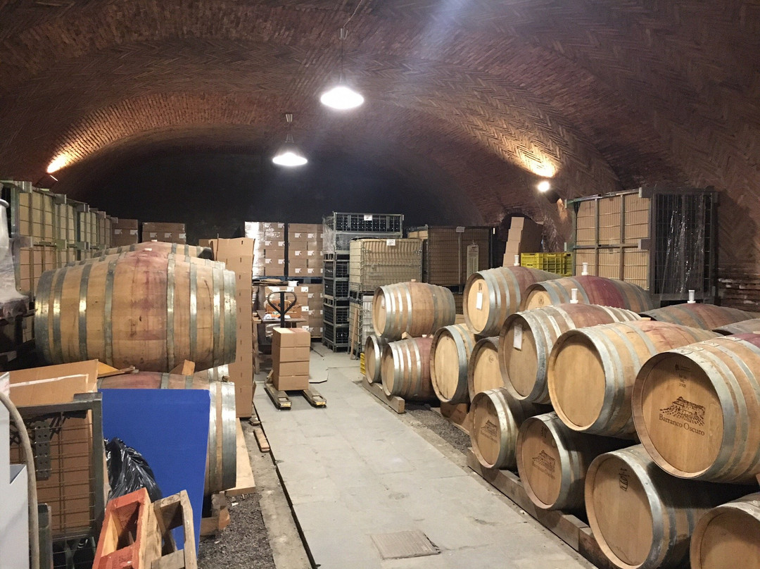 Bodega Barranco Oscuro景点图片