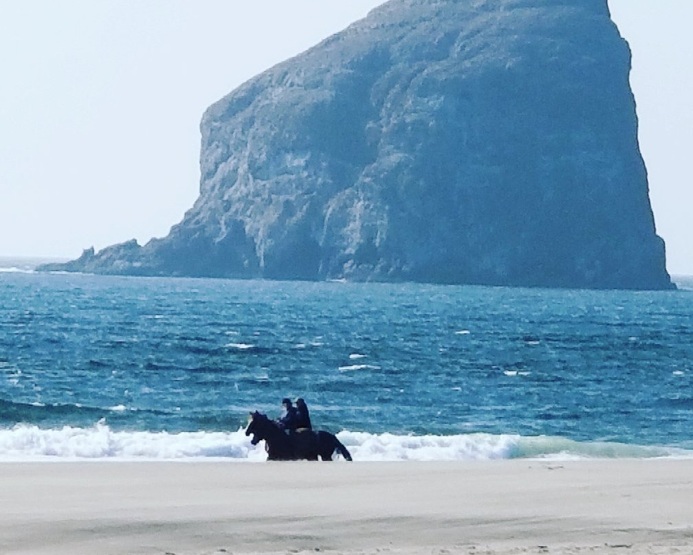 Yachats coastline景点图片