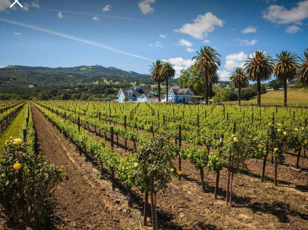 Wooden Valley Winery-费尔菲尔德必去景点