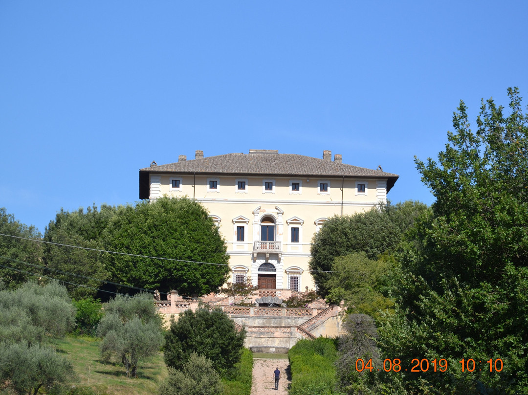 Villa del Colle del Cardinale景点图片