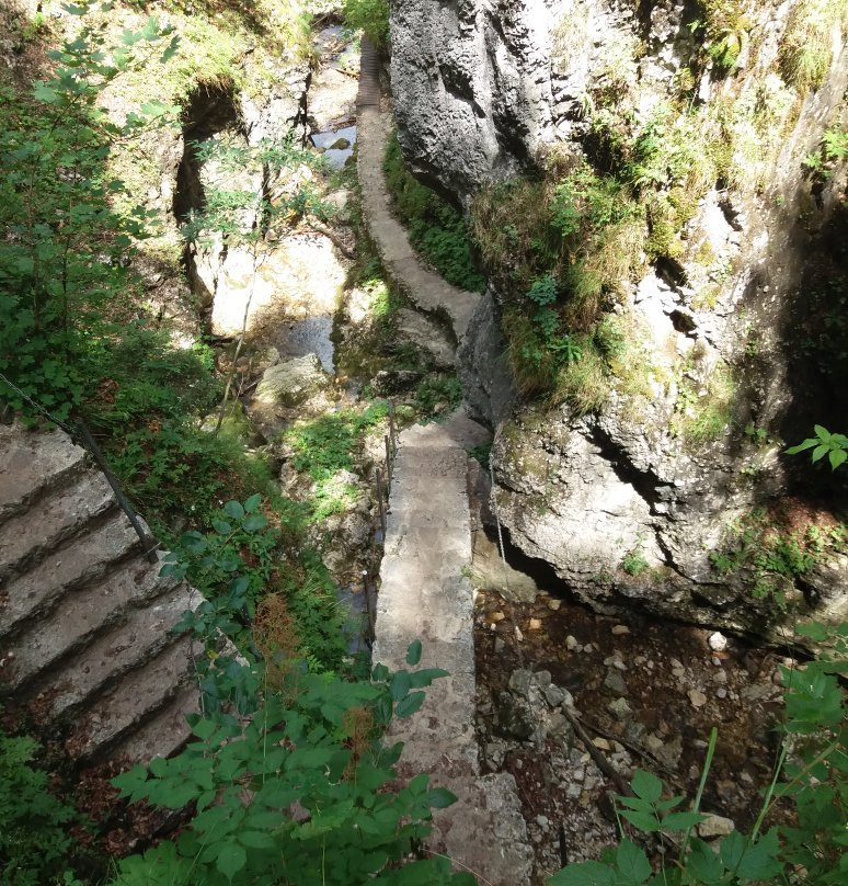 Gorges de la Poëta-Raisse景点图片