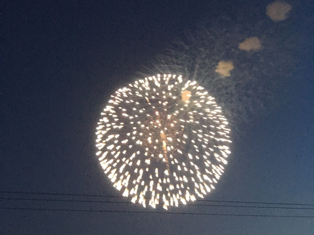 Teganuma Fireworks-柏市必去景点