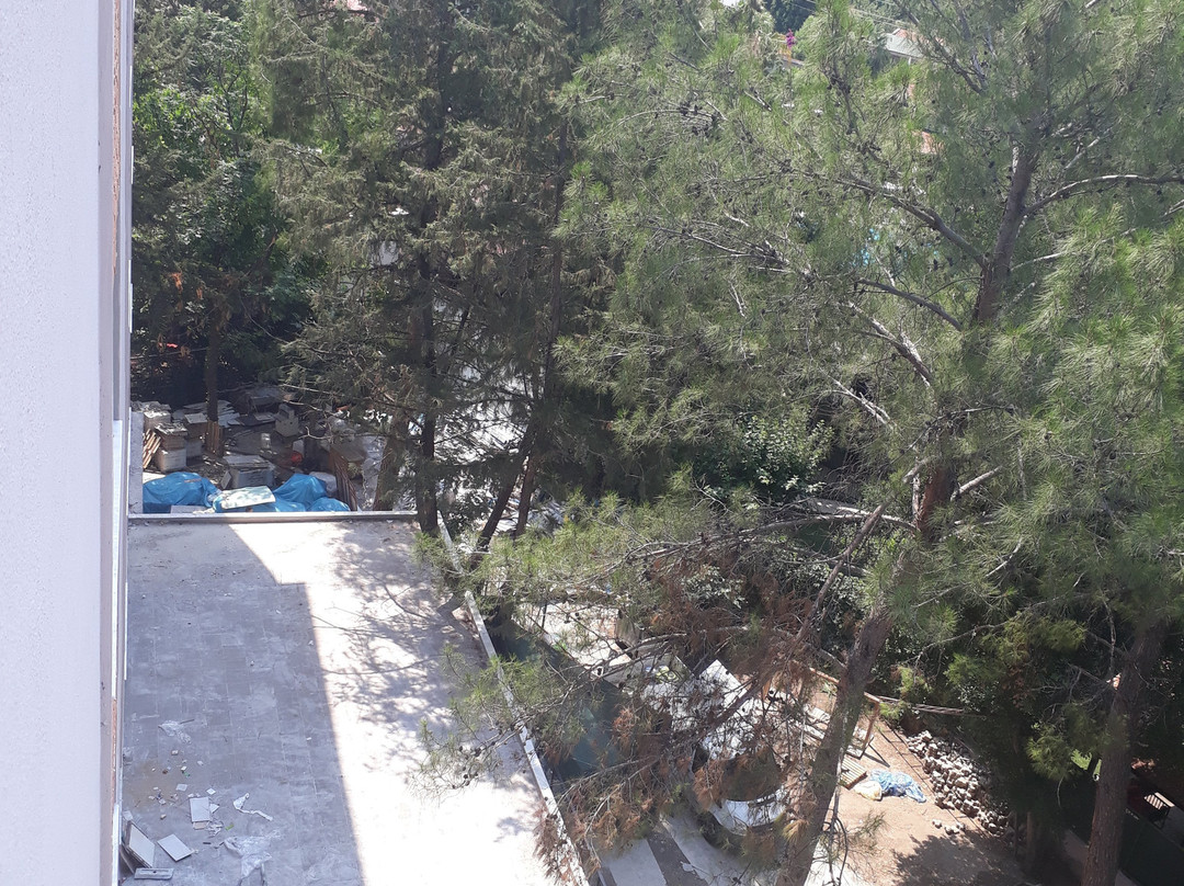 Club Festival Tekirova主图