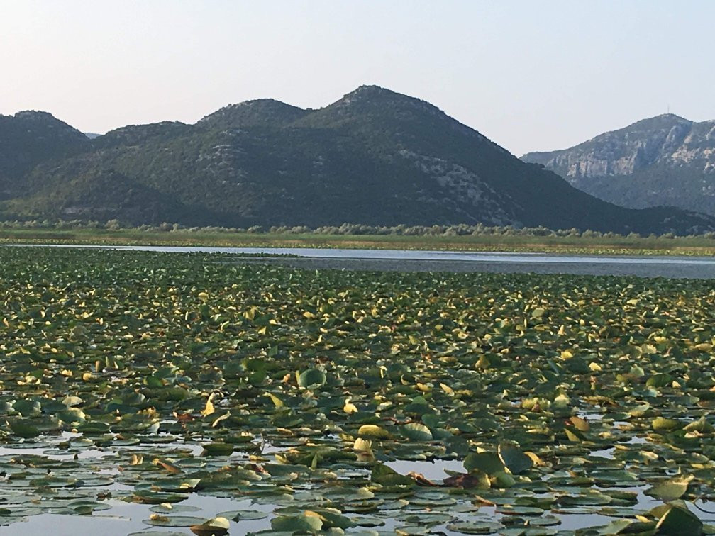 ARKA-维尔巴札拉必去景点