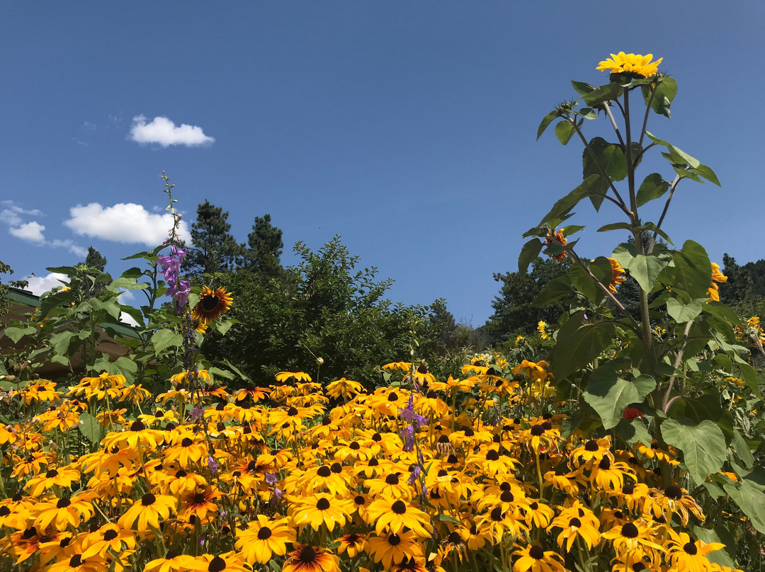 Country Ridge Bed and Breakfast主图