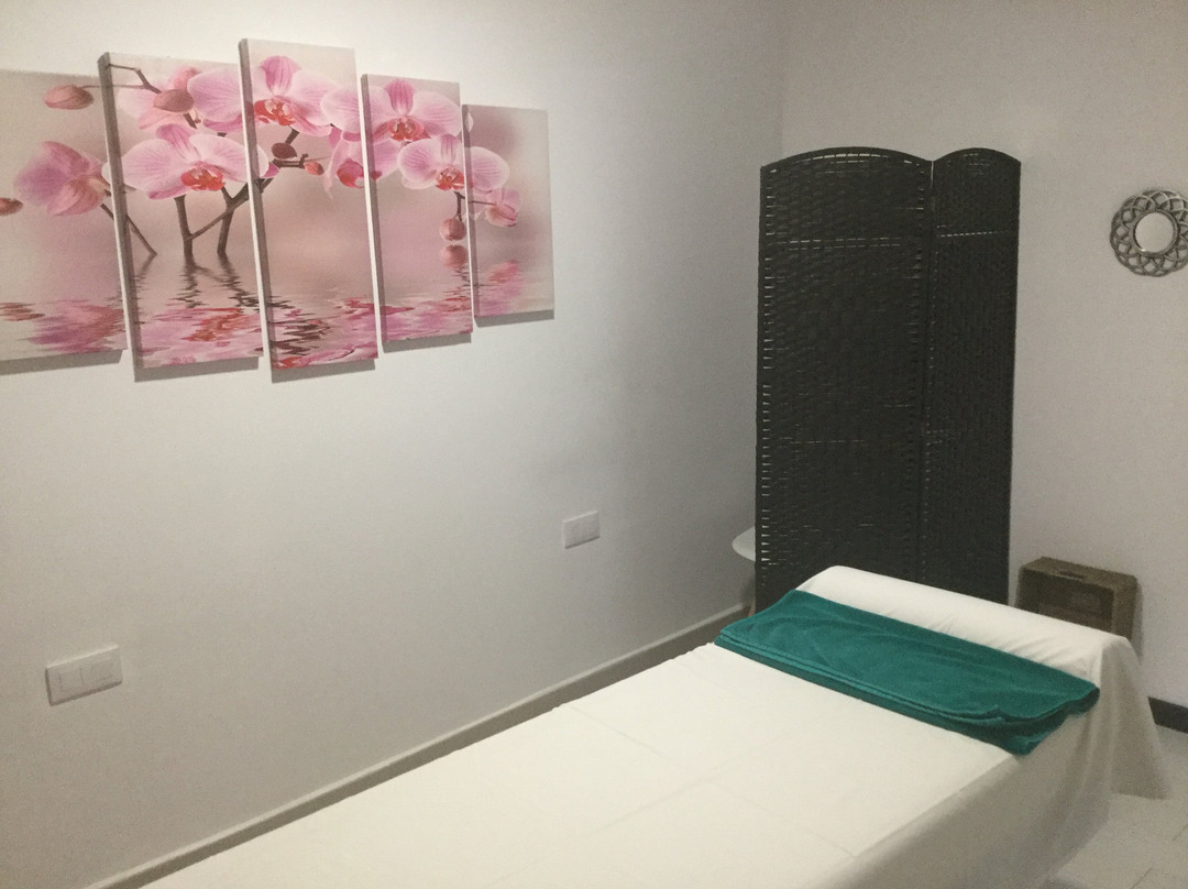 Las Olas Massage Therapy & Wellness Center景点图片