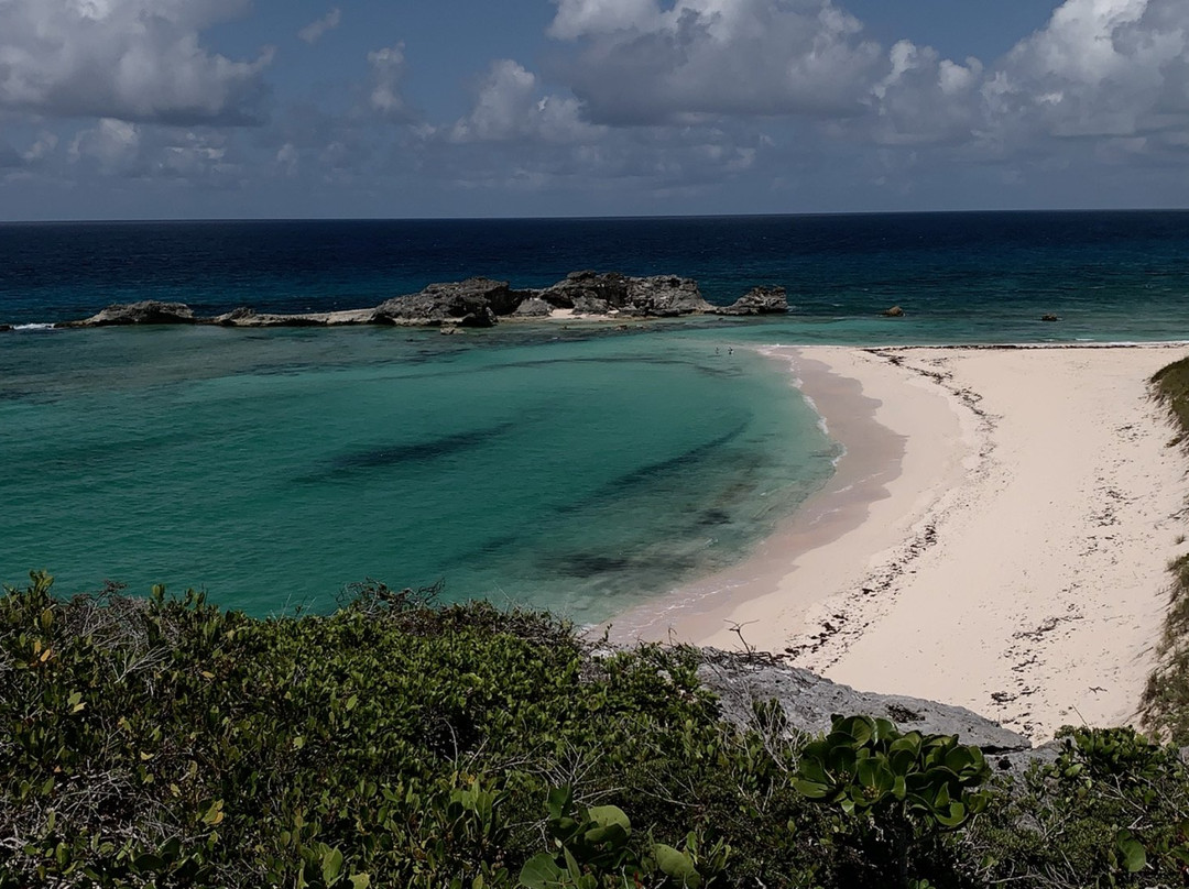 My TCI Experience-普罗维登西亚莱斯必去景点