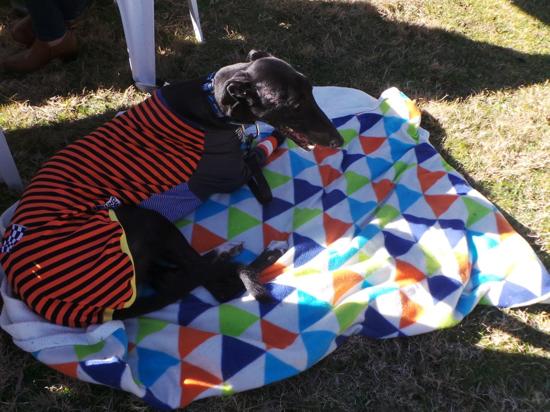 Wyadra Brewing-Tallong必去景点