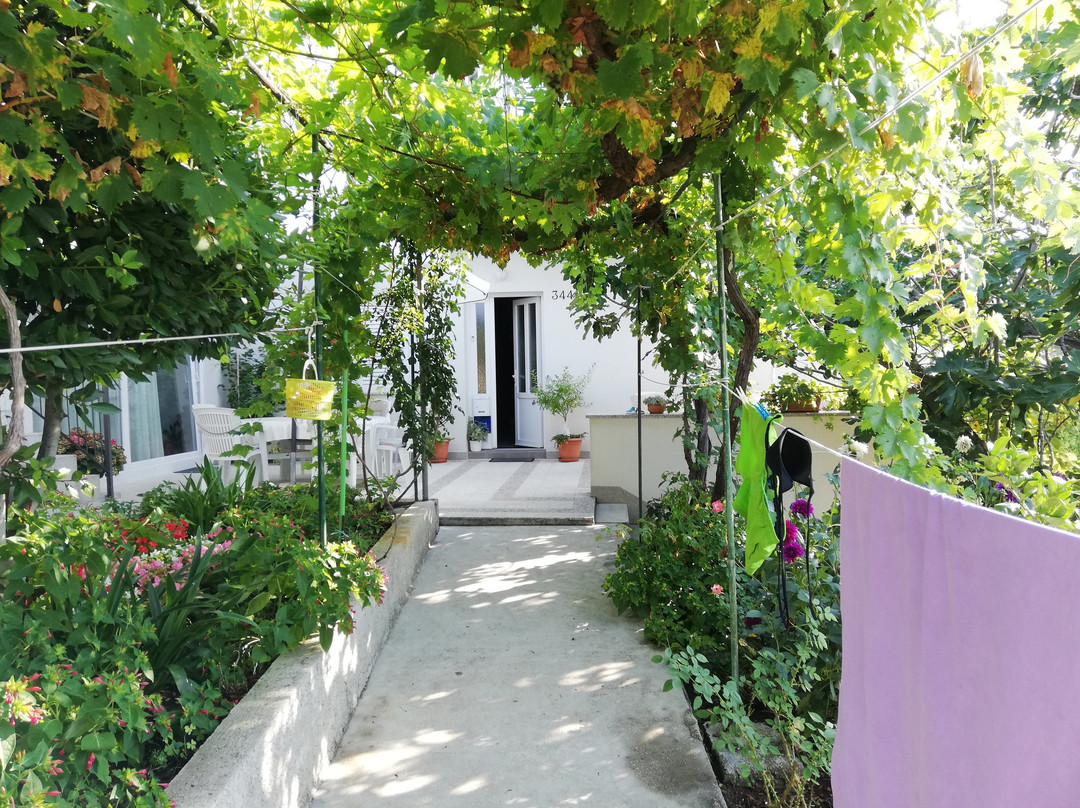 Palit酒店住宿-Sea View Rooms Macolic