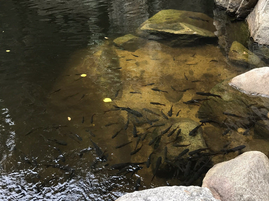 Huai Yang Waterfall National Park景点图片