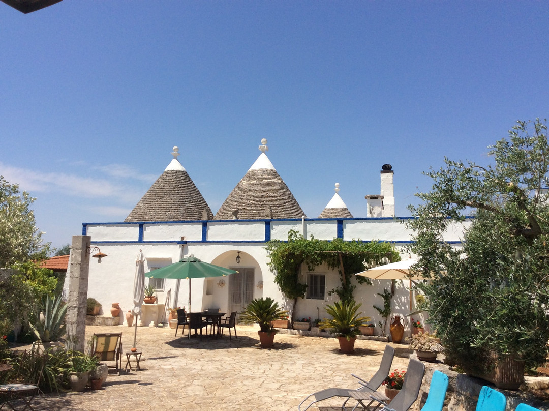 Marinelli酒店住宿-B&B Trulli Country Farmhouse
