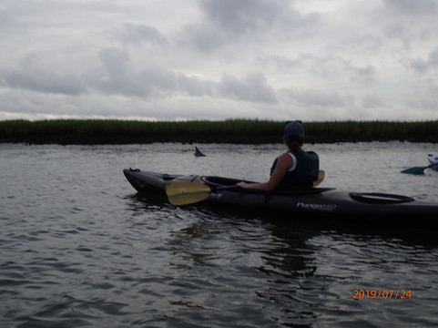 Kayak Charleston-查尔斯顿必去景点