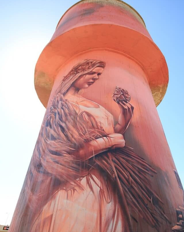 Kadina Water Tower Mural景点图片