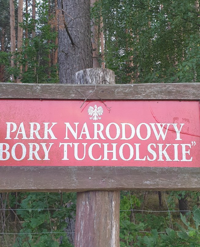 National Park Bory Tucholskie景点图片