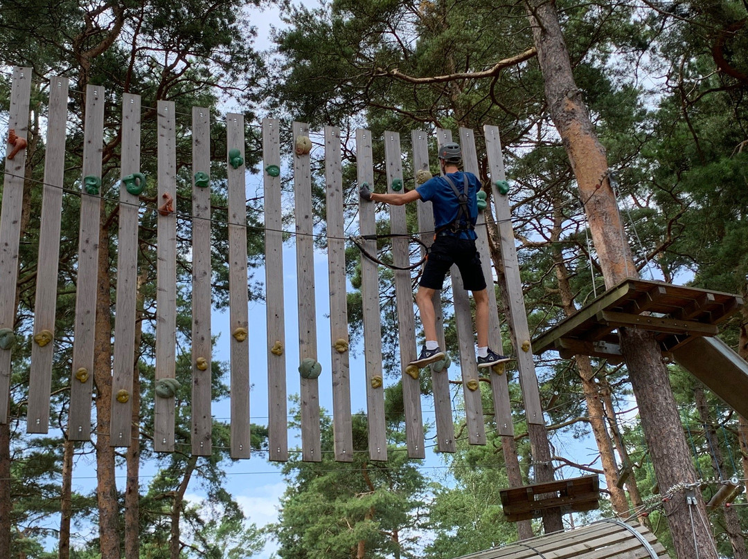 Upzone Adventure Park Ahus景点图片