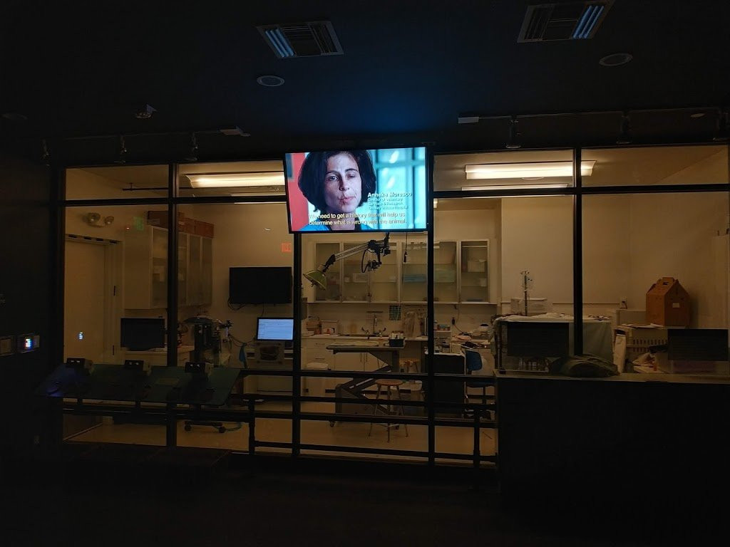 Lindsay Wildlife Museum-核桃溪必去景点