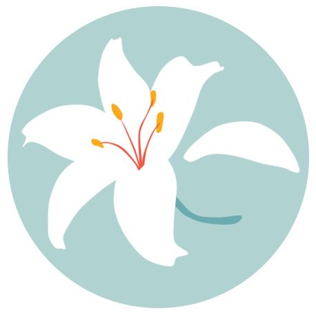 Lily Travel DMC-萨拉热窝必去景点