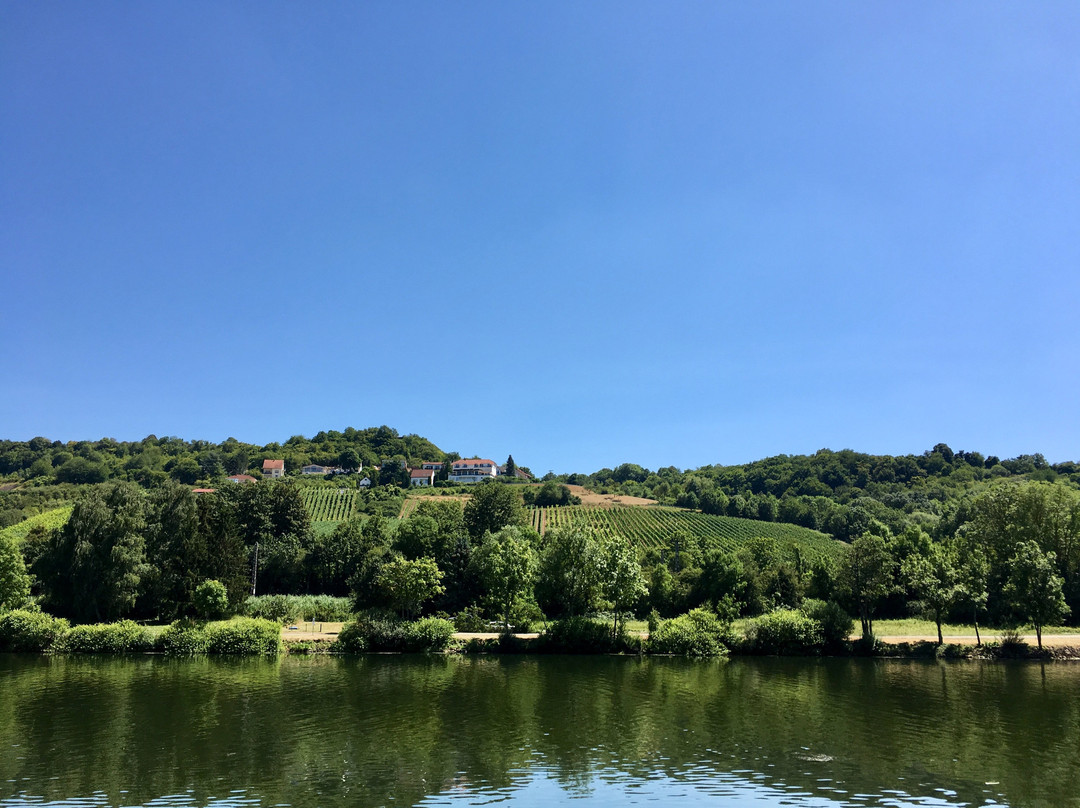 Domaines Vinsmoselle - Caves des Vignerons Grevenmacher-Grevenmacher必去景点