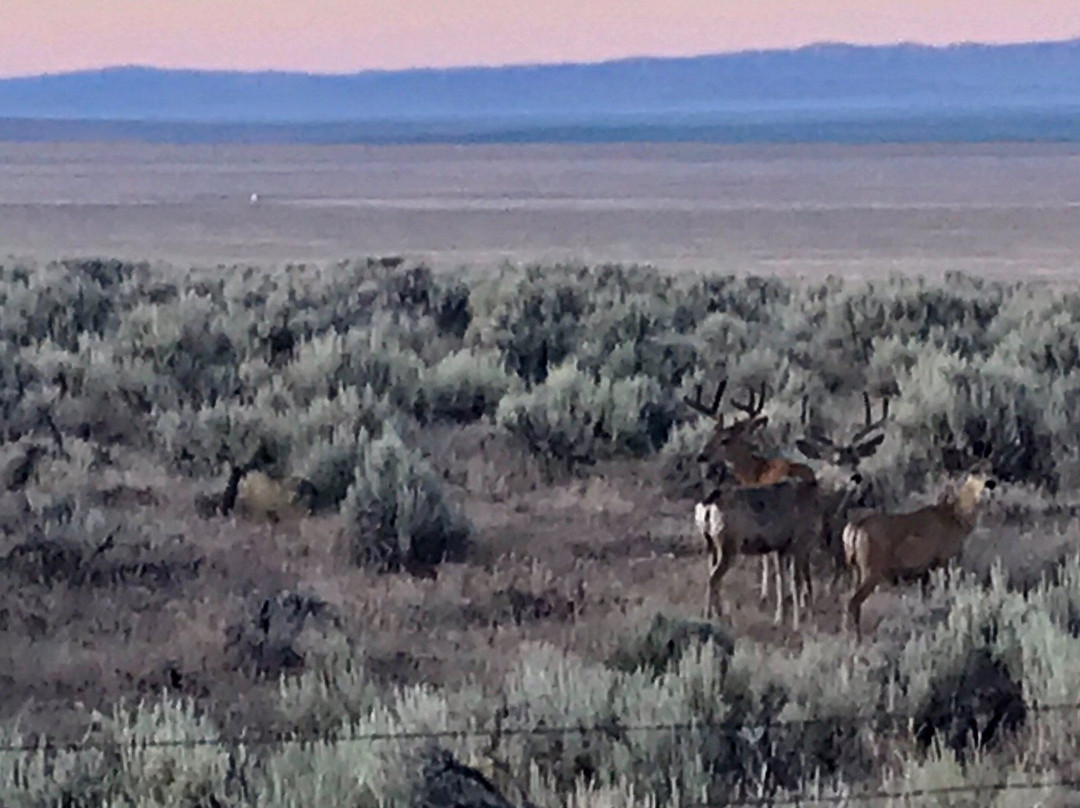 Baker Archaeological Site-Baker必去景点