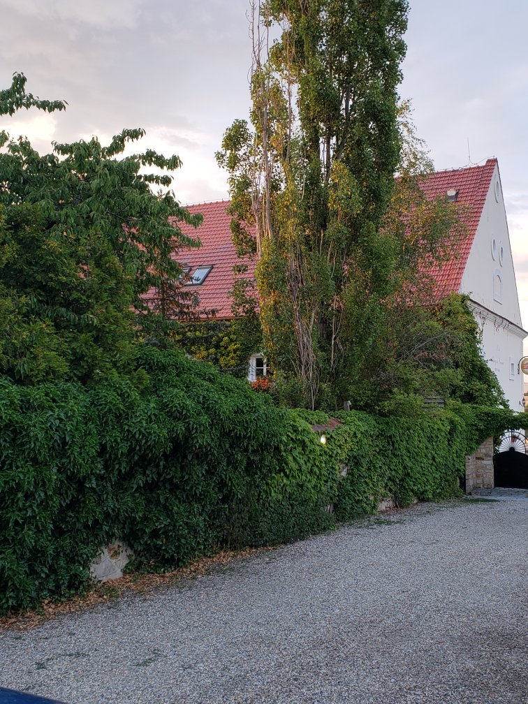Auberge de Provence-官方