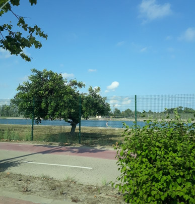 Canal Olimpic de Catalunya-卡斯特尔德费尔斯必去景点