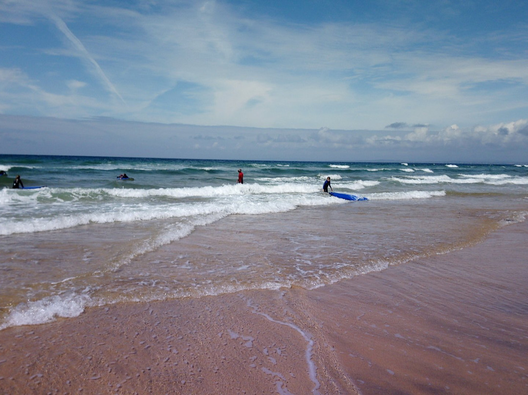 Aloha Surf School景点图片