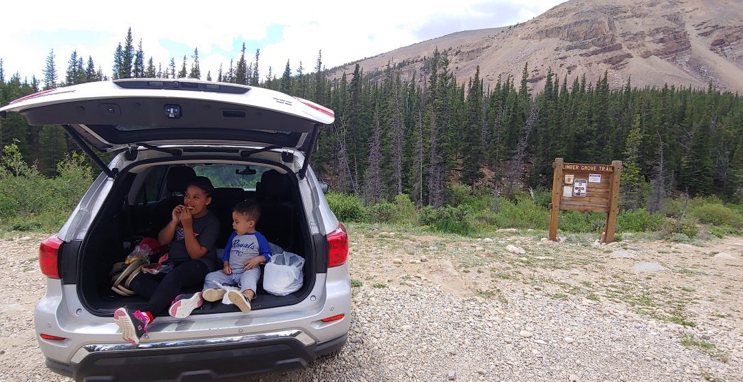 Limber Grove Trail-Fairplay必去景点